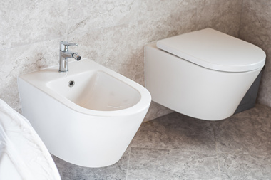 Tri Cities bidet installers in WA near 99301