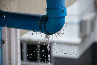 Sunnyside Leaky Pipe